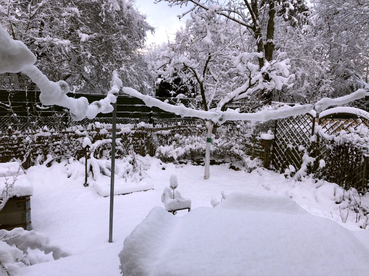 So sah er aus, unser kleiner Garten unter dem nassen Neuschnee am 8. Januar.